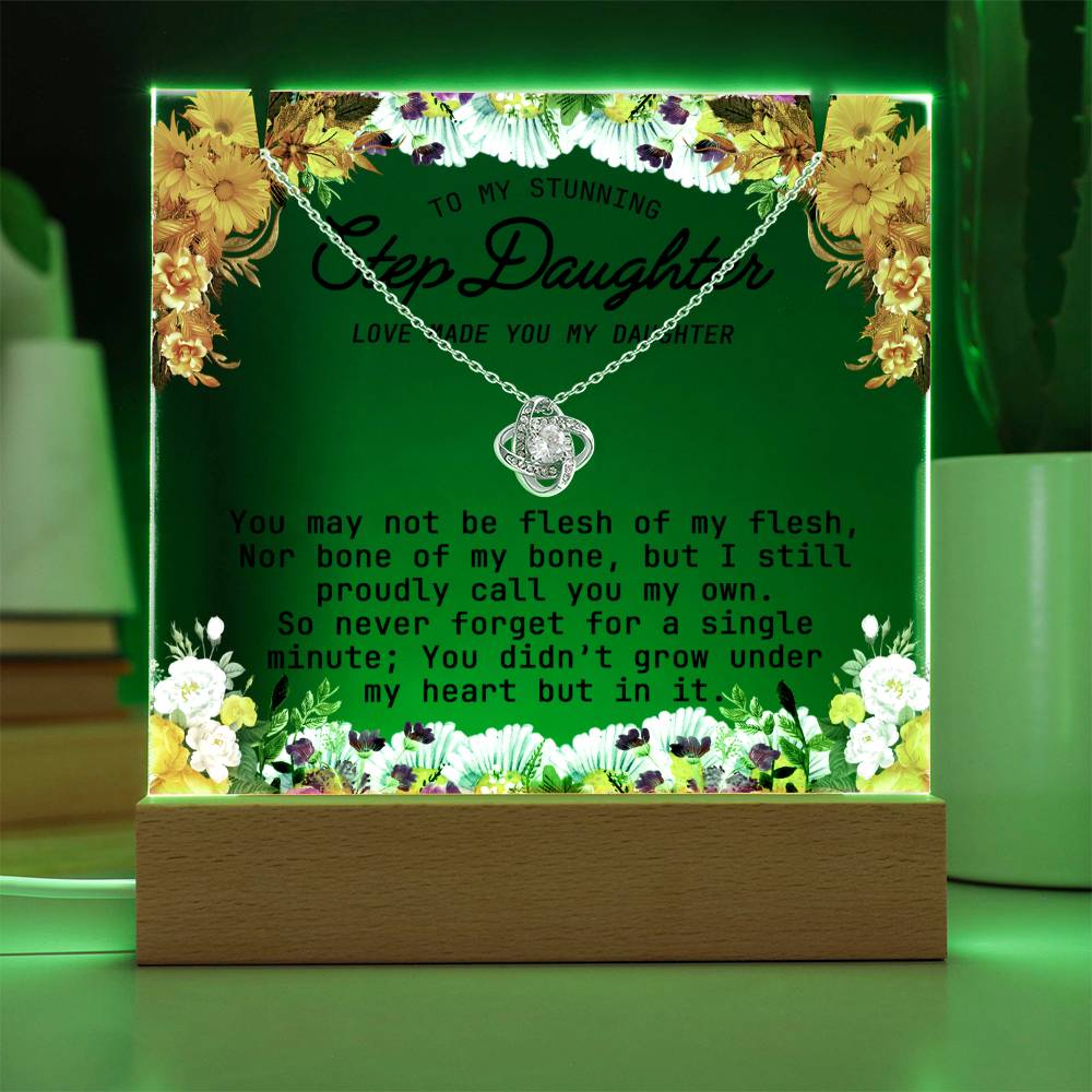 Gift for Step Daughter - Keepsake Acrylic Necklace Bundle - A114