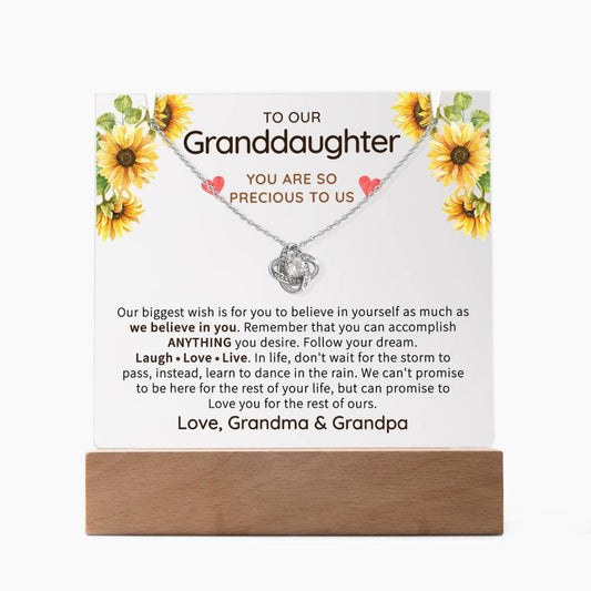 Granddaughter Gift - Keepsake Acrylic Necklace Bundle - A97